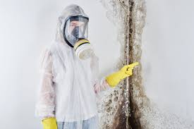 Why You Should Choose Our Mold Remediation Services in Wernersville, PA